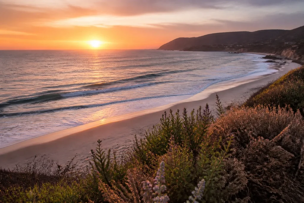 Serene Malibu beach at sunset with gentle waves and native plants.